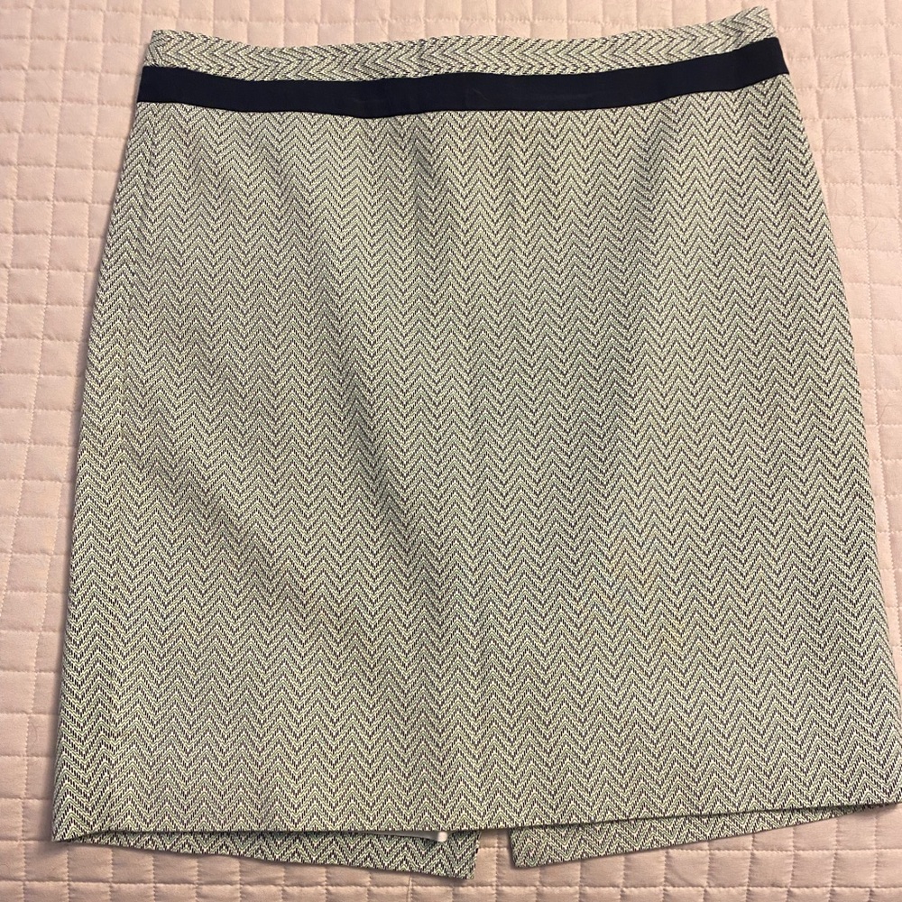 The Limited Pencil Skirt - 12
